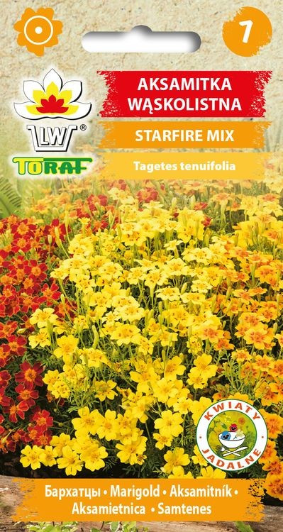 AKSAMITNÍK JEMNOLISTÝ odrůda STARFIRE, BAREVNÝ MIX Afrikán /600 semen/