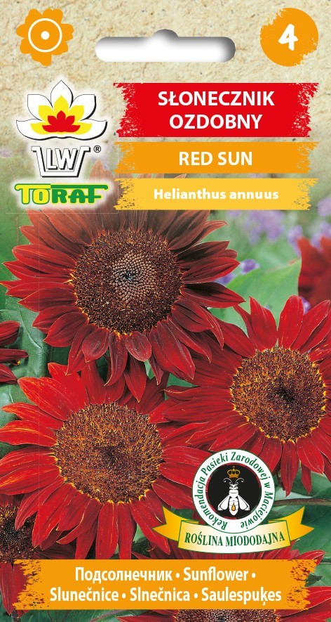 Slunečnice okrasná RED SUN červené slunce /cca 65 semen/