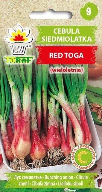CIBULE ZIMNÍ RED TOGA(SEČKA, SEDMILETÁ), červená /250 semen/